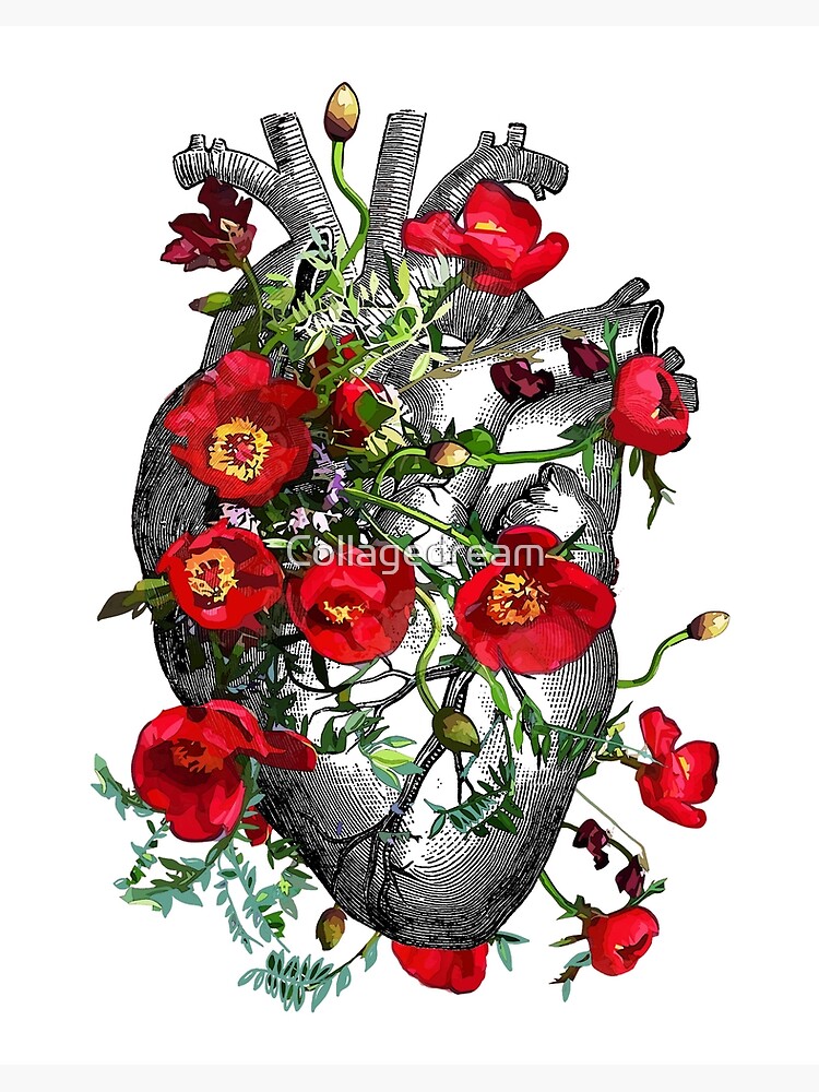 Lámina rígida «Anatomía floral de un corazón con anémonas de flores rojas,  arte floral del corazón» de Collagedream | Redbubble