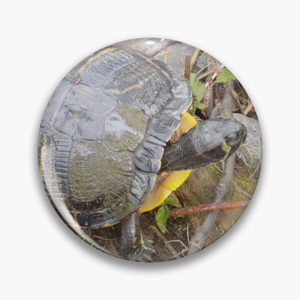 Item preview, River Cooter Top View designed and sold by DragonCGallery.