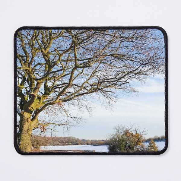Item preview, lone winter tree designed and sold by markspics.