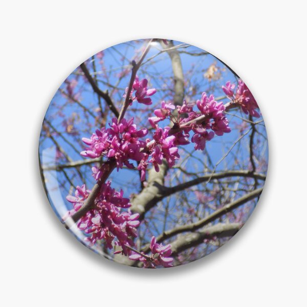 Item preview, Eastern Redbud in Trees designed and sold by DragonCGallery.