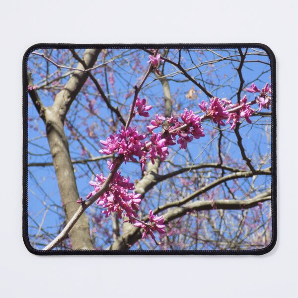 Item preview, Eastern Redbud in Trees designed and sold by DragonCGallery.