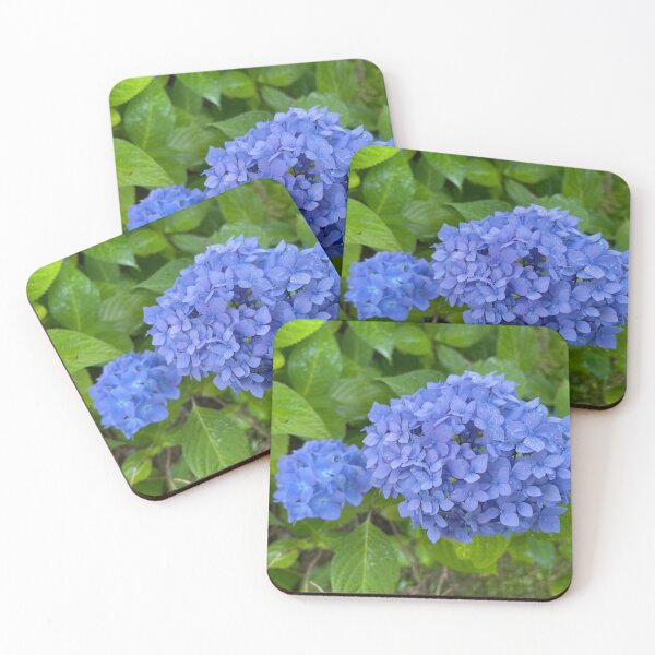 Item preview, Blue Hydrangeas designed and sold by Christine  Wilson Photos.