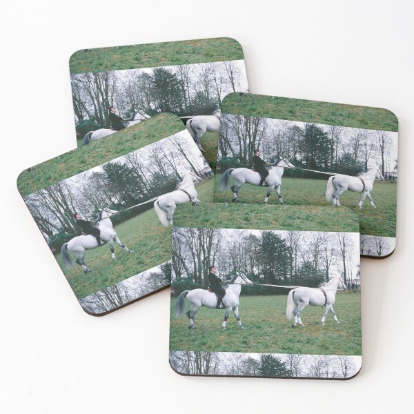 Item preview, r654/ silver time  " Open day at Haras de Saintes (17) France 1981 - Journée porte Ouverte au Haras de Saintes  " Okaio Créations Olavia-Olao designed and sold by o.okaïo.