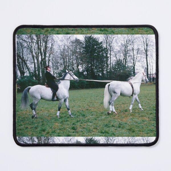 Item preview, r654/ silver time " Open day at Haras de Saintes (17) France 1981 - Journée porte Ouverte au Haras de Saintes " Okaio Créations Olavia-Olao designed and sold by o.okaïo.
