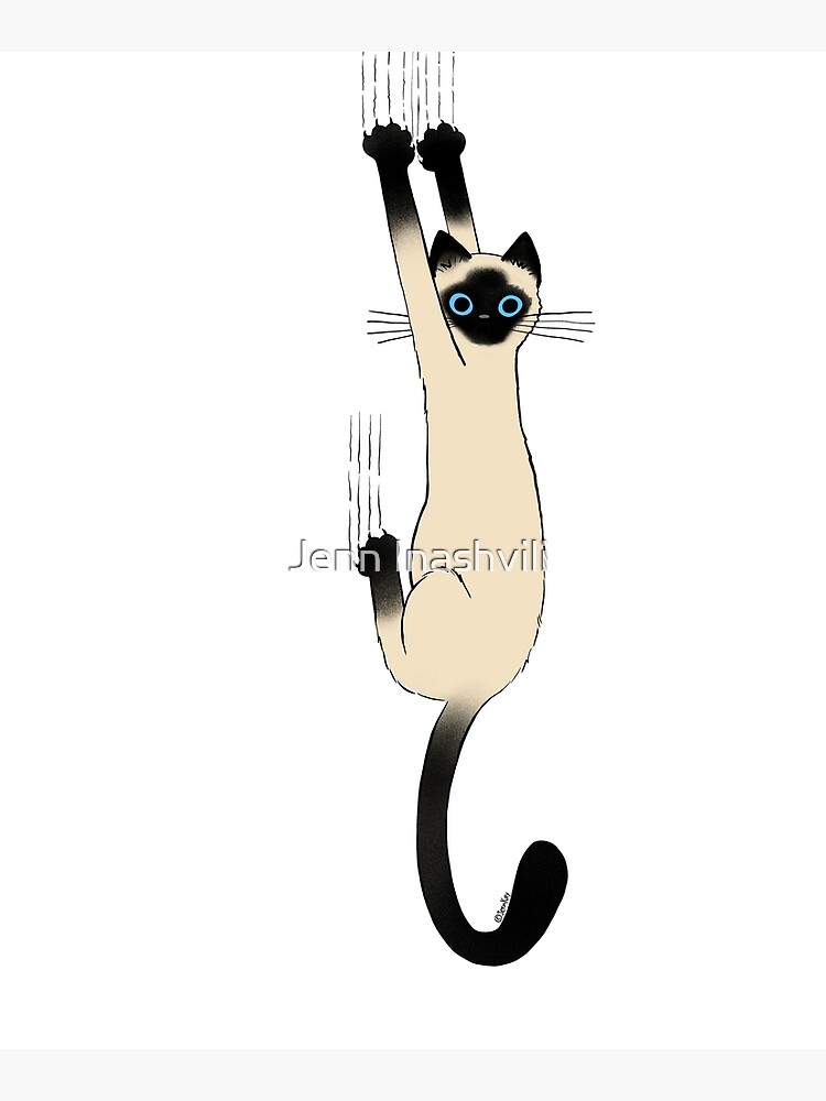 "Siamese Cat Hanging On with Claws Funny Cat Holding On" Mounted Print