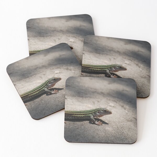 Item preview, Spotted Whiptail designed and sold by Tiffany-Leigh.
