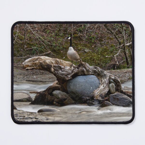 Item preview, Canadian Goose designed and sold by Phil Perkins.