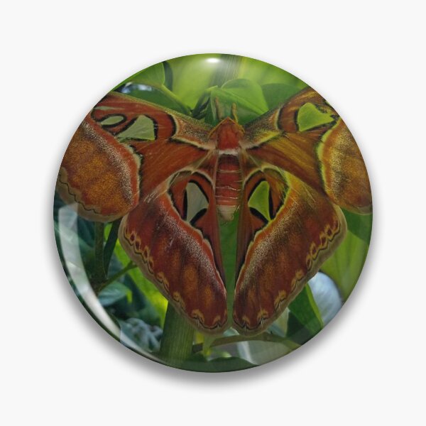 Item preview, Atlas designed and sold by Tiffany-Leigh.