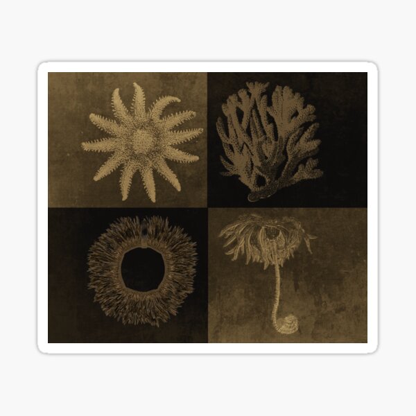 4SeaCreatures_1 Sticker