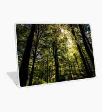 The Dark Woods Laptop Skin