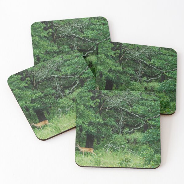 Item preview, Into the Forest designed and sold by Tiffany-Leigh.