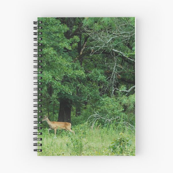 Item preview, Into the Forest designed and sold by Tiffany-Leigh.