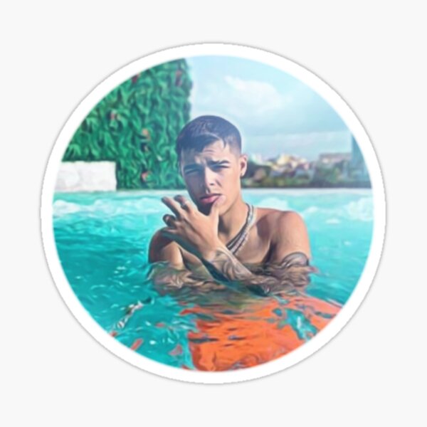 &ldquo;Lunay Fan Art&rdquo; Sticker for Sale by karinaamezcua | Redbubble