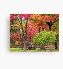 Playground Paradise ! Canvas Print