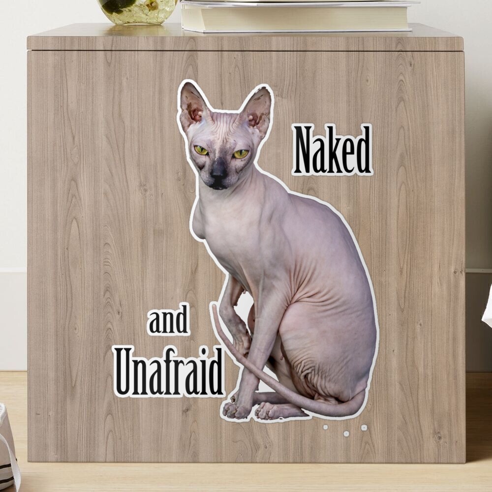 Hairless Cat Naked and Unafraid Gift for Sphynx Cat Lovers 