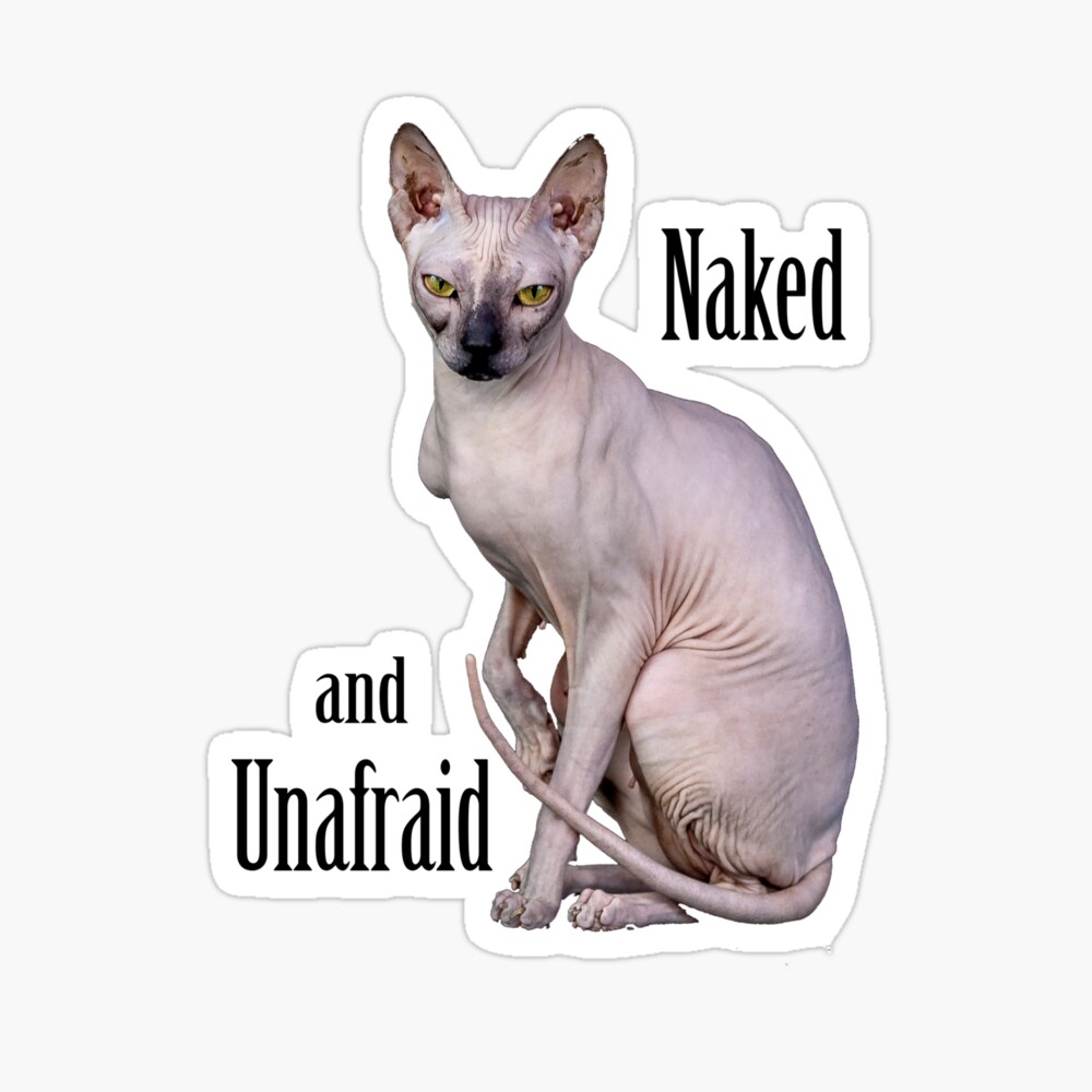 Hairless Cat Naked and Unafraid Gift for Sphynx Cat Lovers | Art Board Print