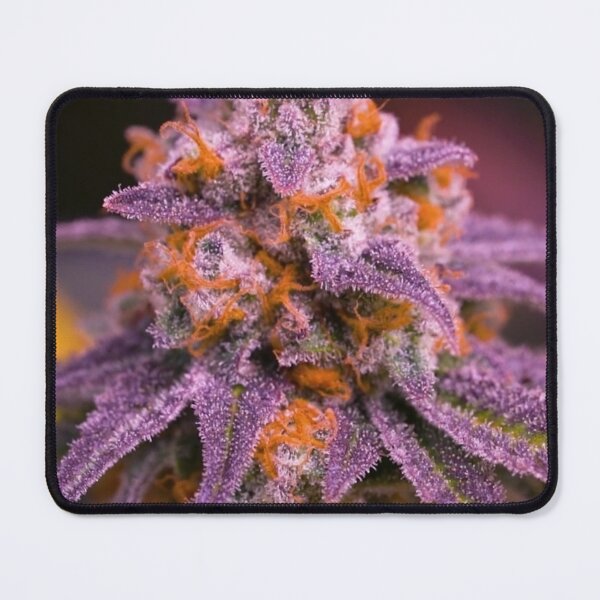 Item preview, Purple bud designed and sold by Dripkomplex.