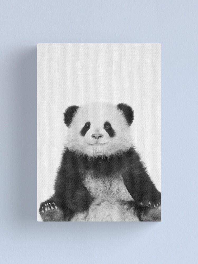 Baby Panda Canvas Print By Taiprints Redbubble