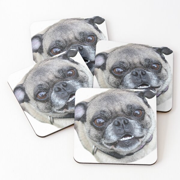 Item preview, Perro pug designed and sold by Metaverse8.