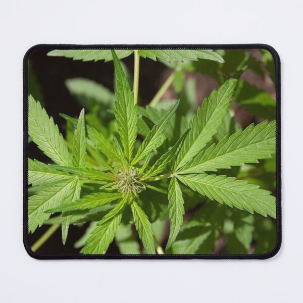 Item preview, Greenery scenery  designed and sold by Dripkomplex.