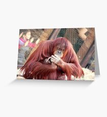 OrangUtan Coiffure Greeting Card