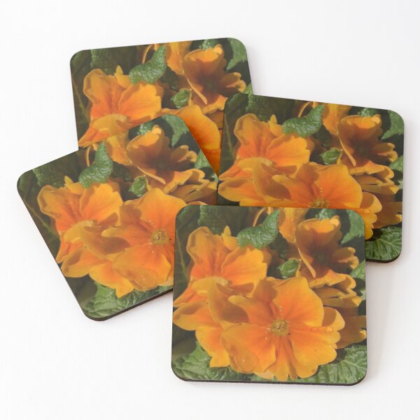 Item preview, Sunshine Primroses designed and sold by JuleZ54.