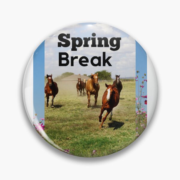 Item preview, Spring Break designed and sold by Demetria3.