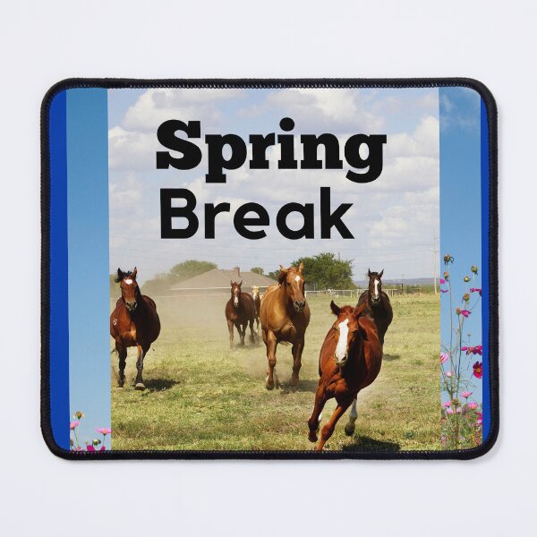 Item preview, Spring Break designed and sold by Demetria3.