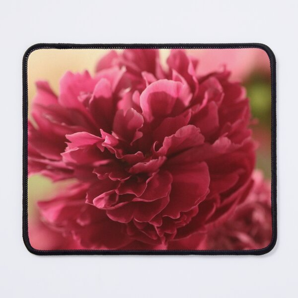 Item preview, Petal Power designed and sold by coffeebean.