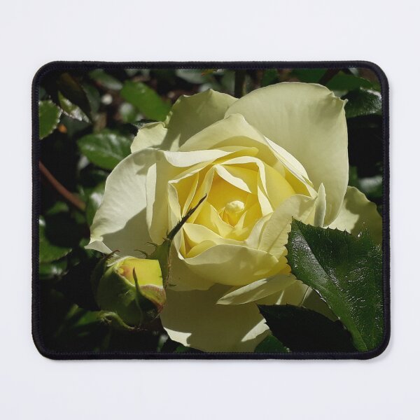 Item preview, Summer Memories designed and sold by coffeebean.