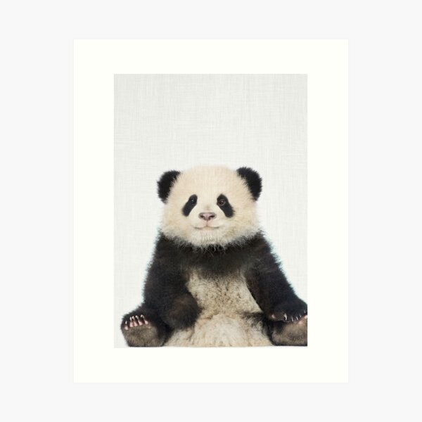 Vista previa del artículo con la obra «Pequeño oso panda», diseñado y vendido por taiprints.