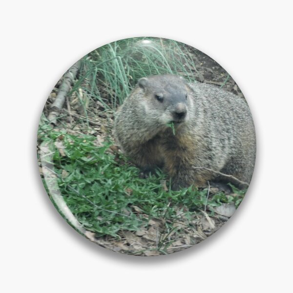 Item preview, The Groundhog  designed and sold by Zarabeaver.
