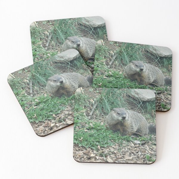 Item preview, The Groundhog  designed and sold by Zarabeaver.
