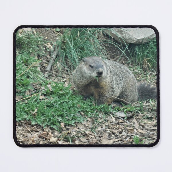 Item preview, The Groundhog  designed and sold by Zarabeaver.