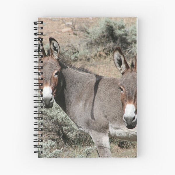 Artikelvorschau, 2 Burros entworfen und verkauft von Annsmithphoto.