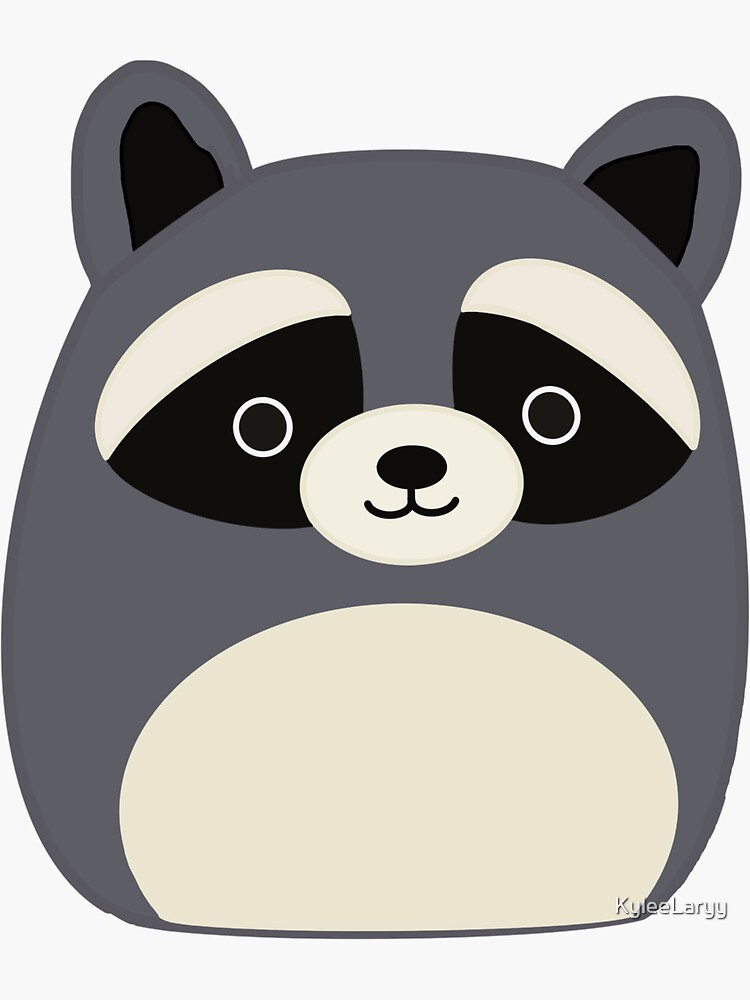 rocky raccoon squishmallow