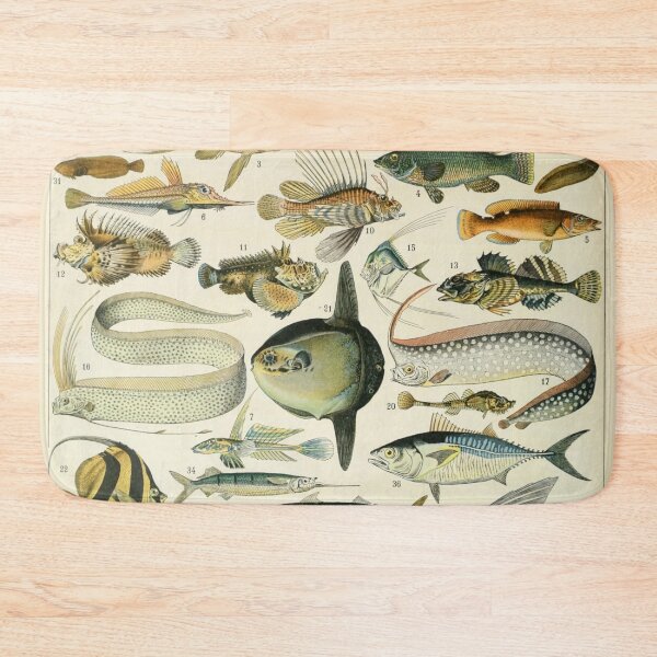 Item preview, Poissons A - Adolphe Millot designed and sold by starrylite.