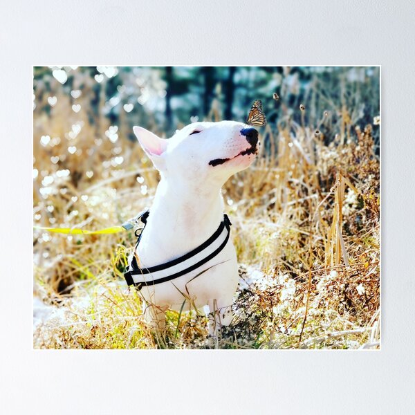 Item preview, Ivan bull terrier  designed and sold by lynn pinkham.