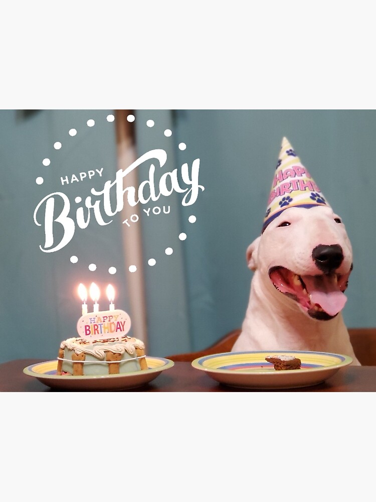 "Happy Birthday bully" Sticker for Sale by Ivan1075 Redbubble