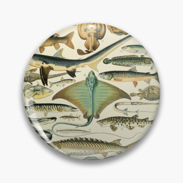 Item preview, Poissons B - Adolphe Millot designed and sold by starrylite.