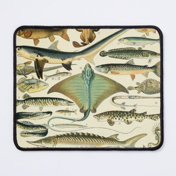 Item preview, Poissons B - Adolphe Millot designed and sold by starrylite.