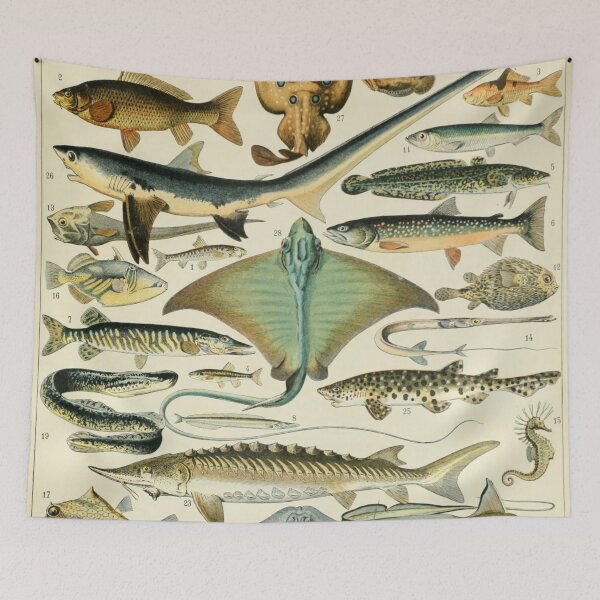 Item preview, Poissons B - Adolphe Millot designed and sold by starrylite.