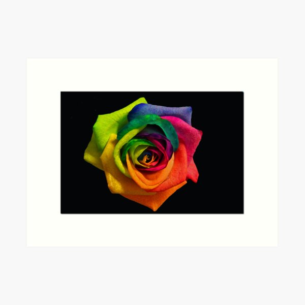 Rainbow III Art Print