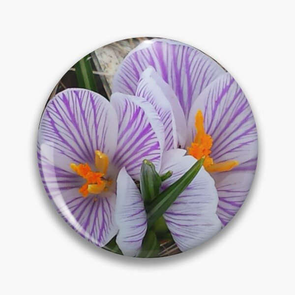 Item preview, "Sign Of Spring" designed and sold by Robert Regenold's Art Shop.