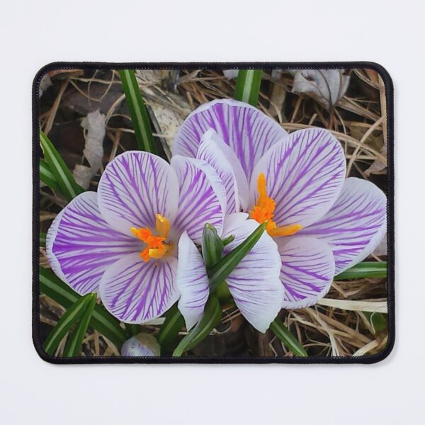 Item preview, "Sign Of Spring" designed and sold by Robert Regenold's Art Shop.
