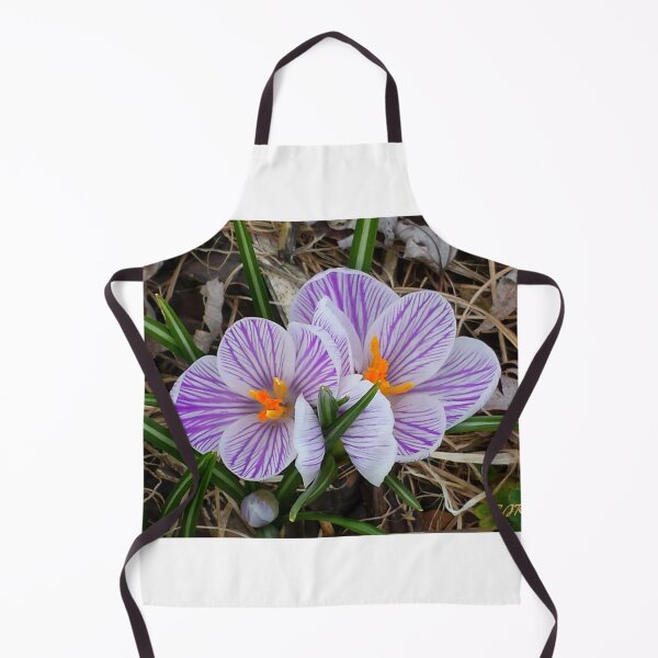 Item preview, "Sign Of Spring" designed and sold by Robert Regenold's Art Shop.
