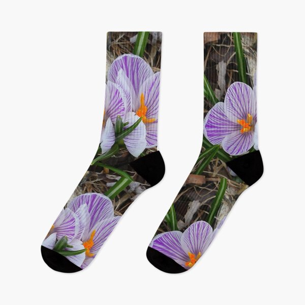 Item preview, "Sign Of Spring" designed and sold by Robert Regenold's Art Shop.