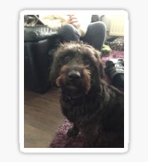 labradoodle car sticker