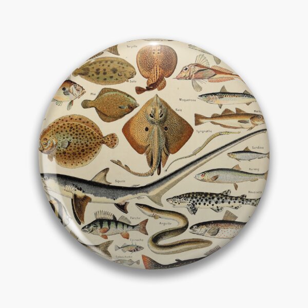 Item preview, Poissons Pour Tous - Adolphe Millot designed and sold by starrylite.