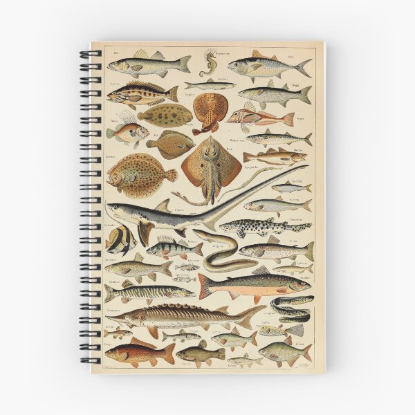 Item preview, Poissons Pour Tous - Adolphe Millot designed and sold by starrylite.